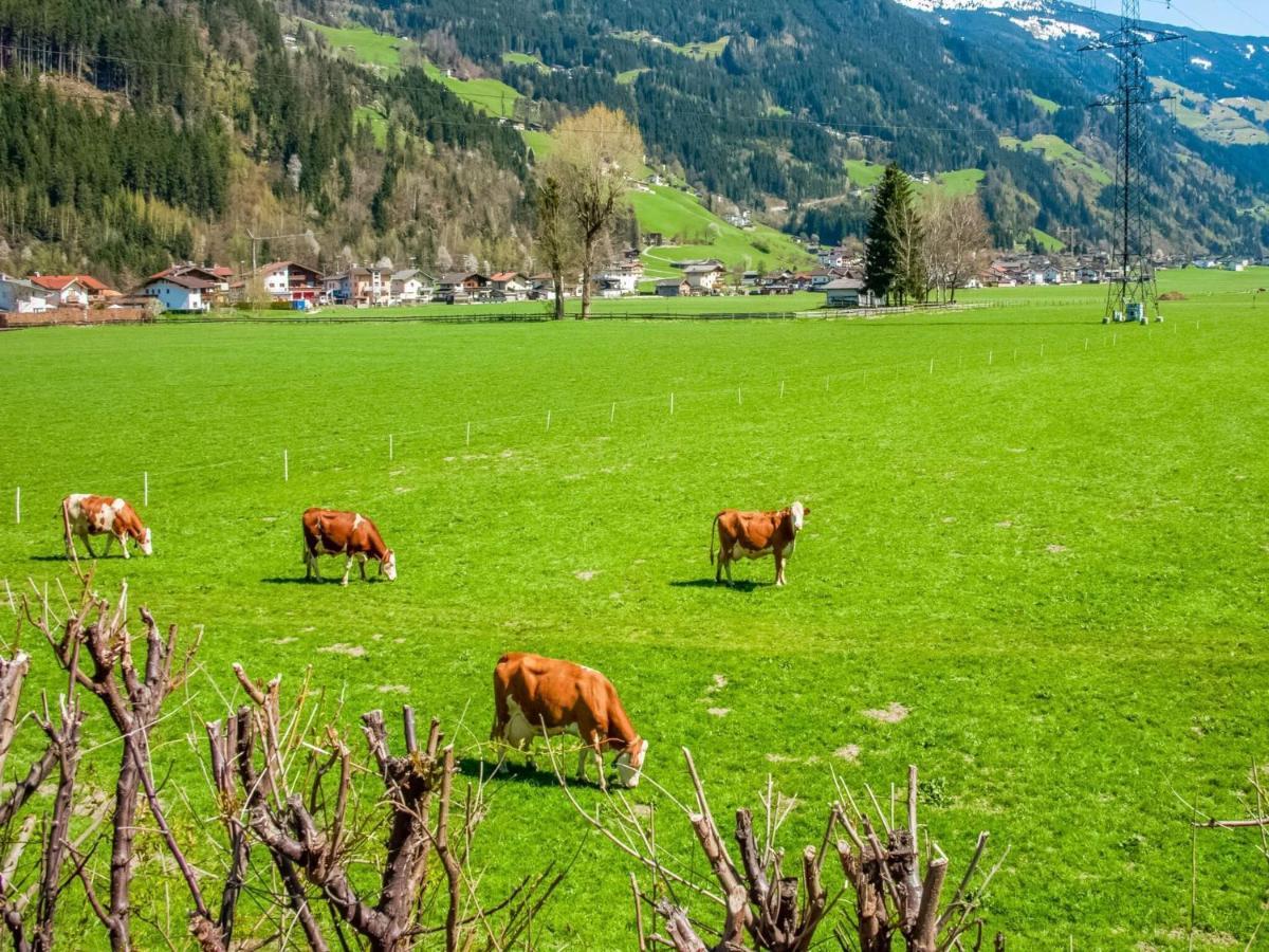 Beautiful Apartment In Ramsau With Balcony Ramsau im Zillertal Eksteriør bilde